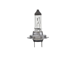 2008 Subaru Tribeca Bulb | Subaru Parts Pros