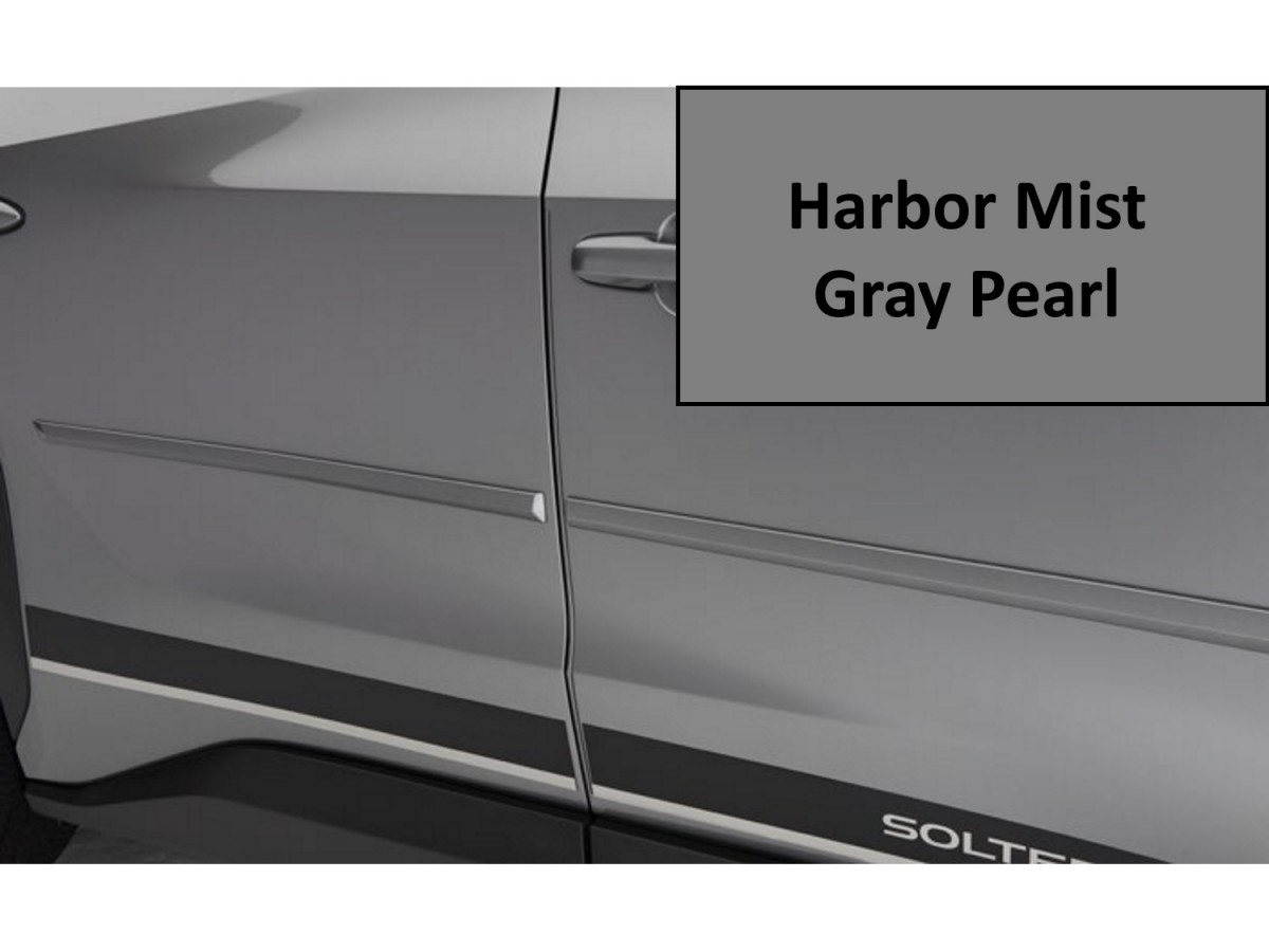 Subaru Body Side Moldings Harbor Mist Gray Pearl - PS9384219039