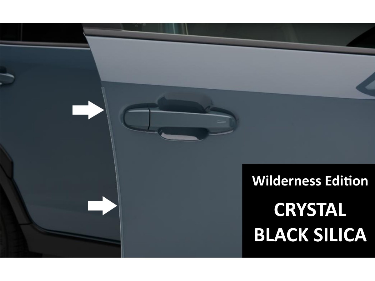 Subaru Door Edge Guards Crystal Black Silica Kit Of Four For